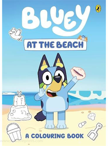 Bluey At the Beach