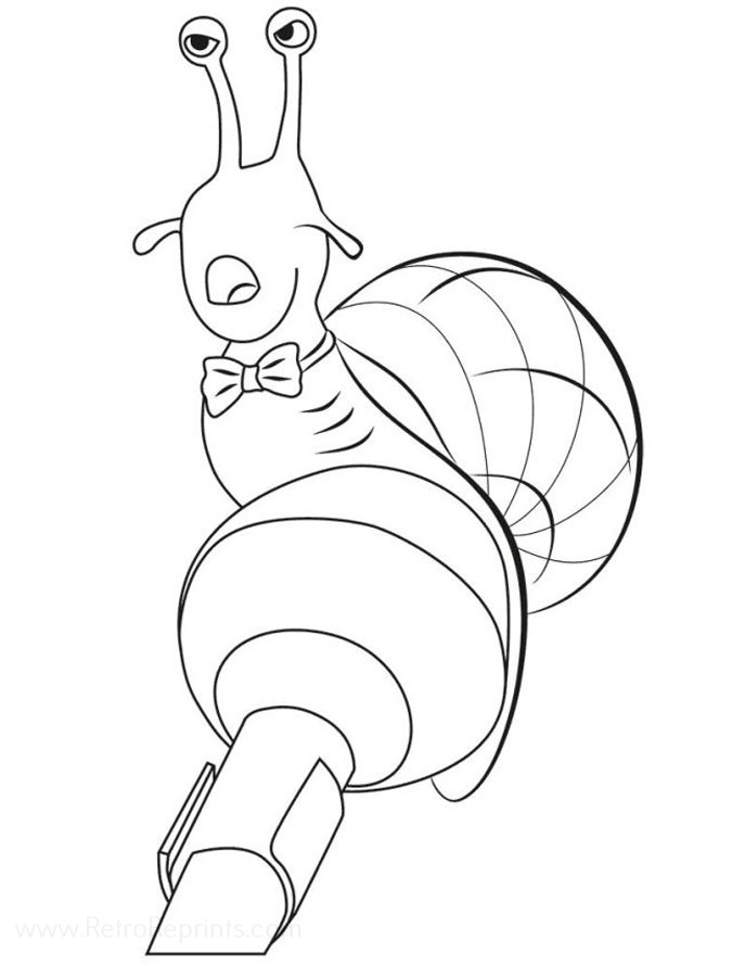 Ray