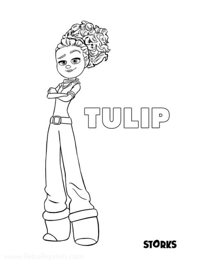 Tulip