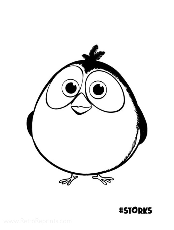 Little Bird