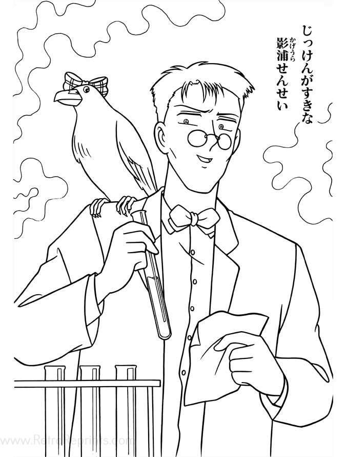 Sample Image