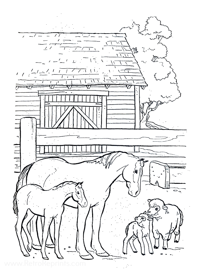 Image 01