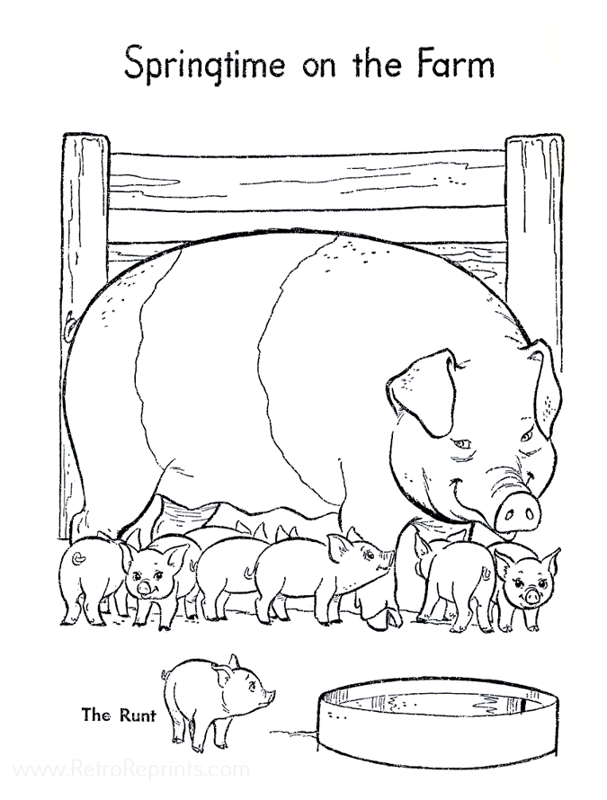 Image 02