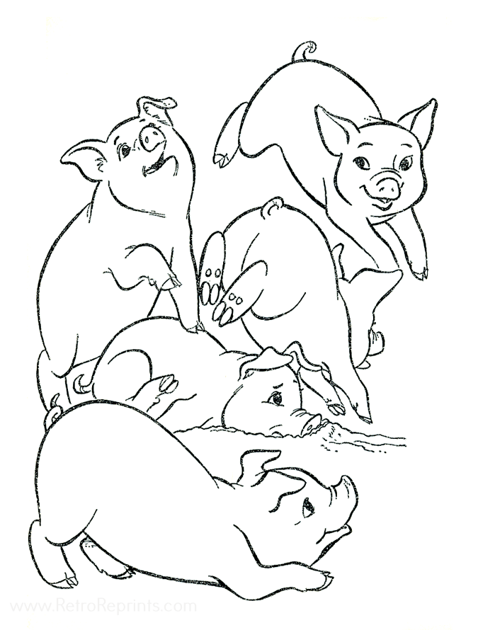 Image 03