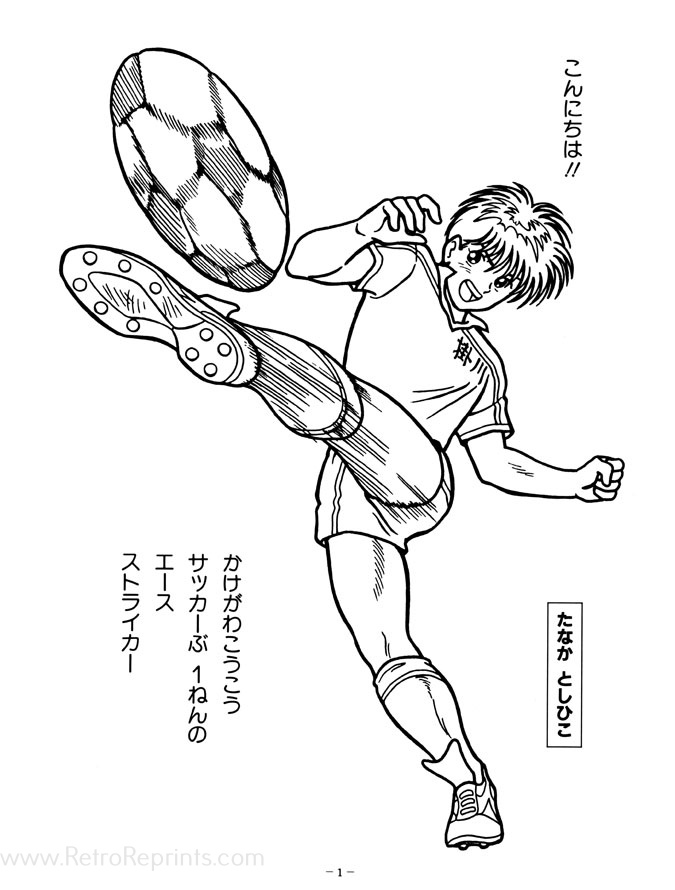 Sample Image