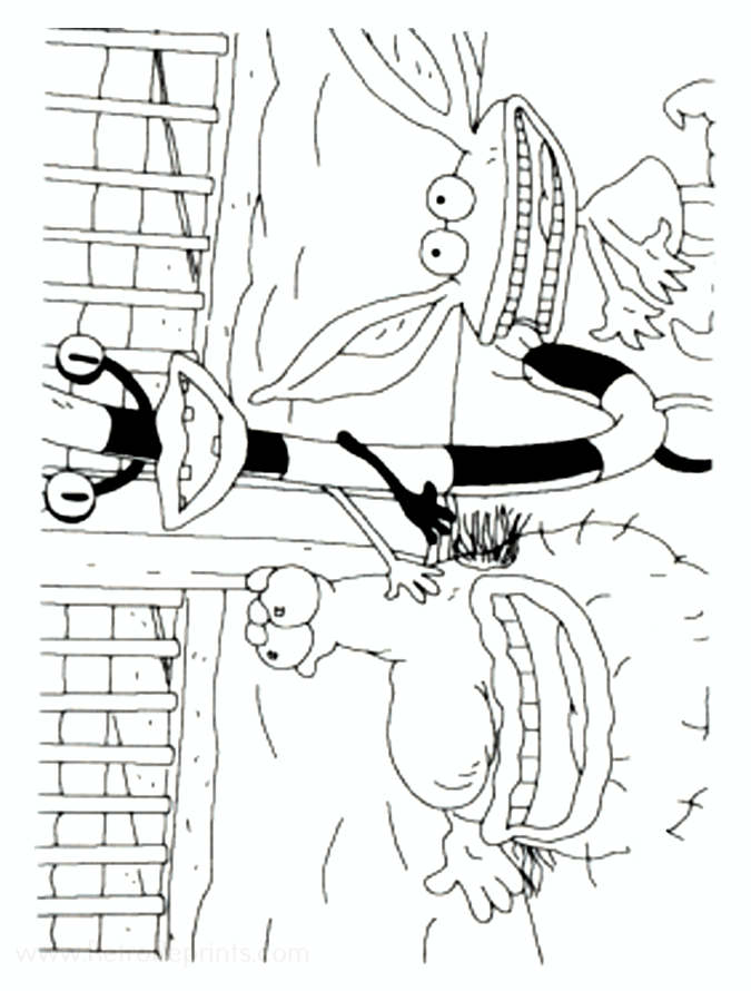 Image 15