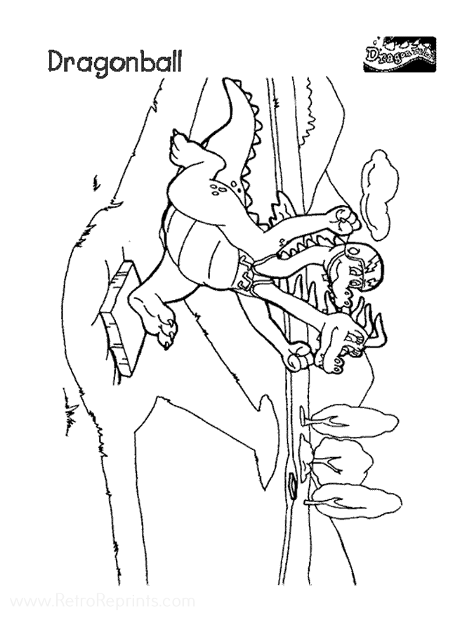 Image 03