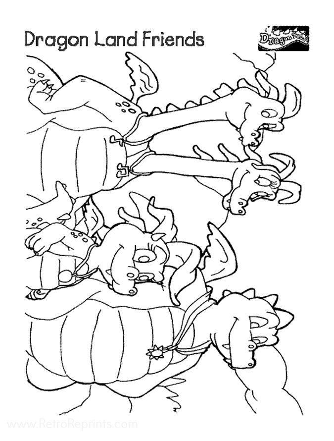 Image 04