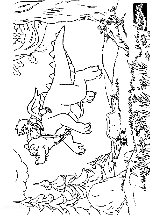 Image 07
