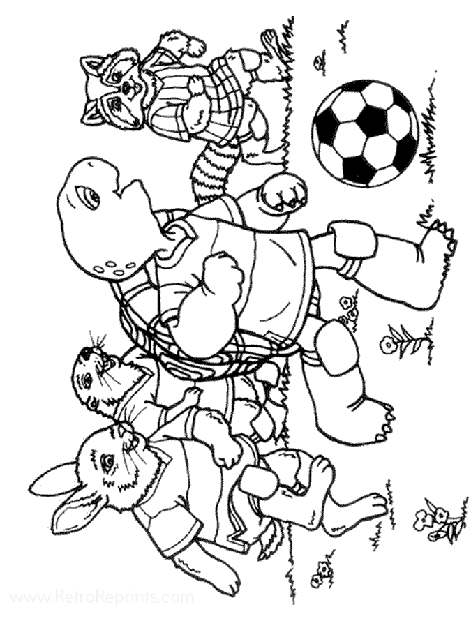 Sample Image