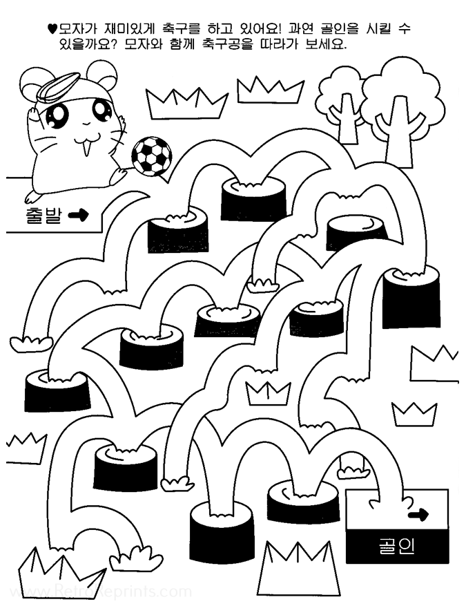 Image 02