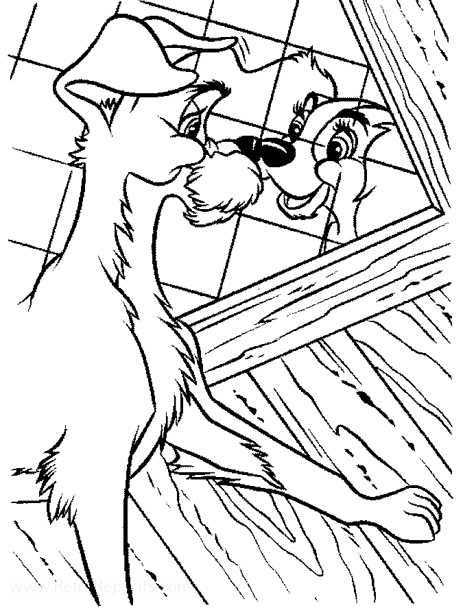 Image 02