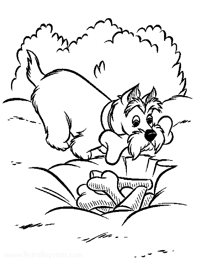 Image 06