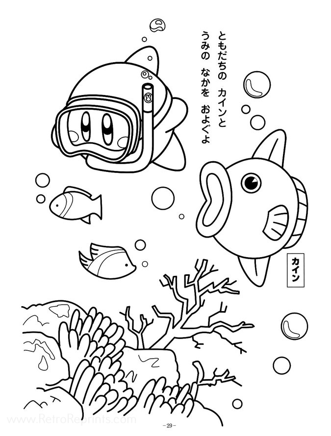 Page 29