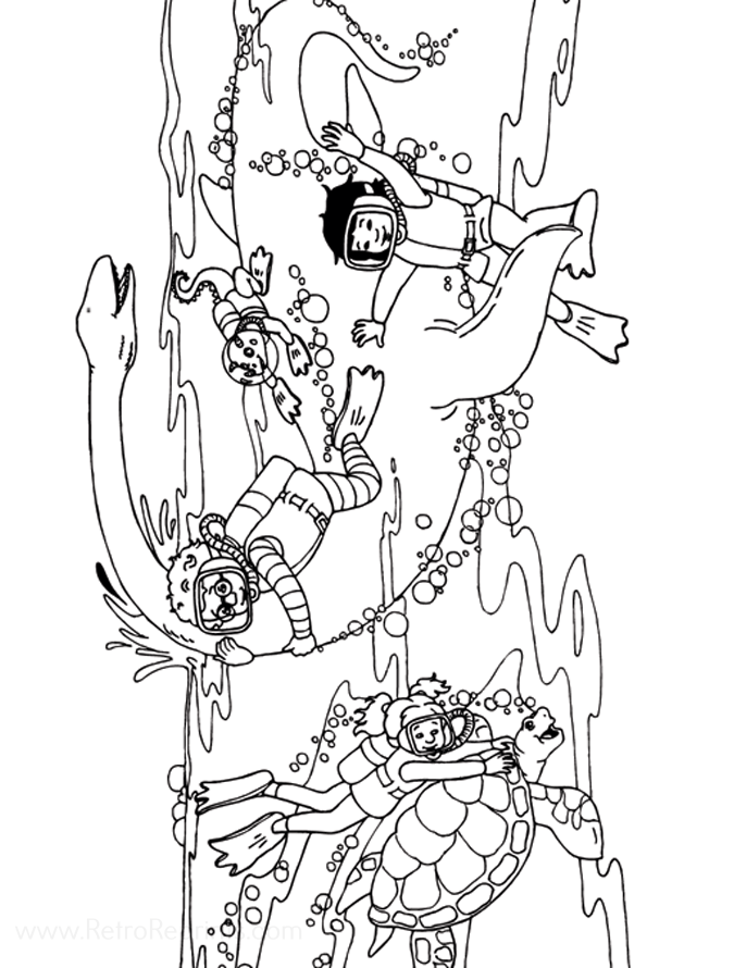 Image 08