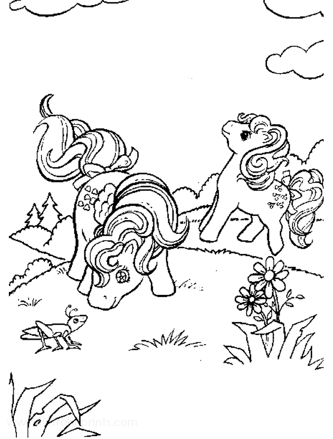 Image 13