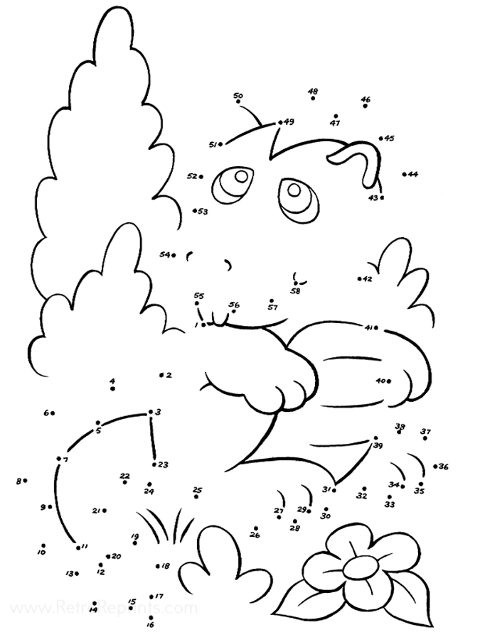 Image 20