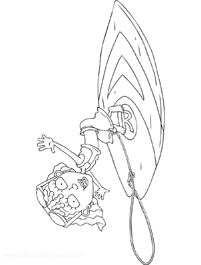 Image 13