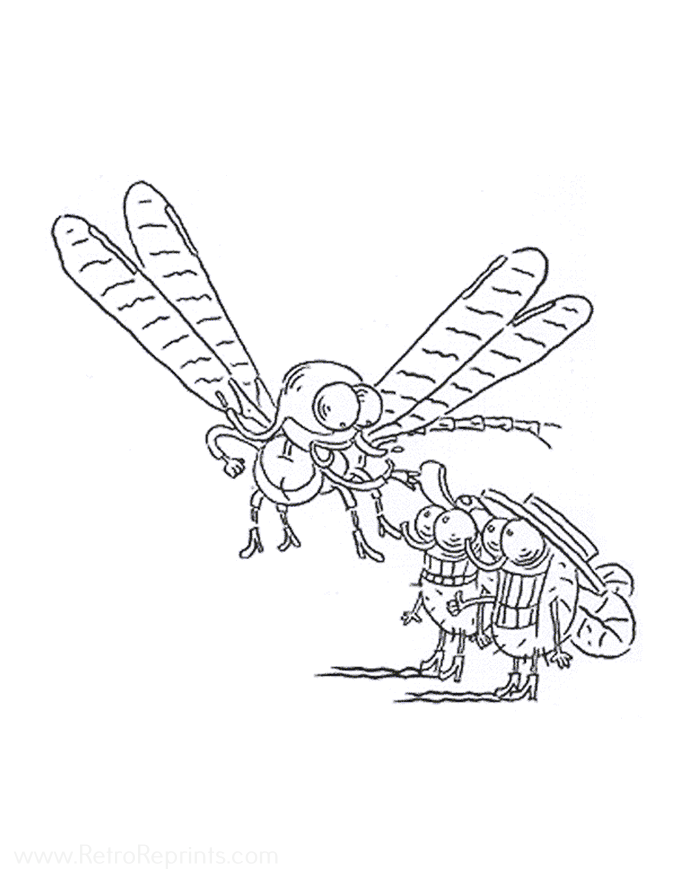 Flys