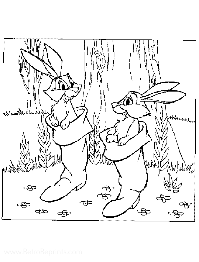 Image 01