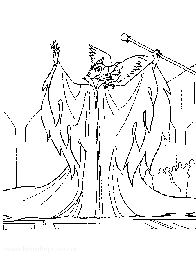 Image 05