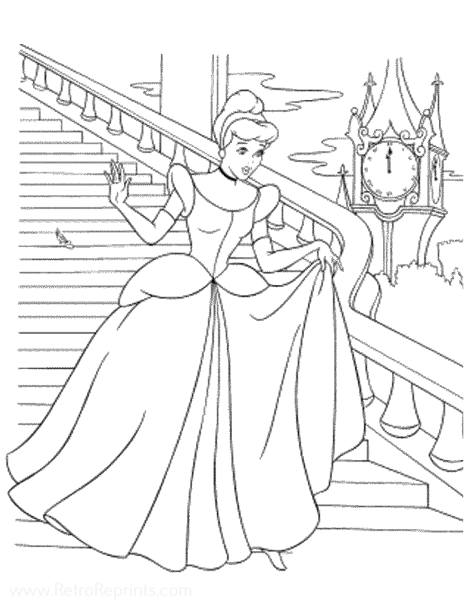 Image 15