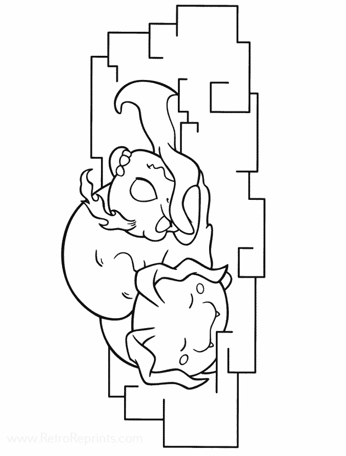 Image 17