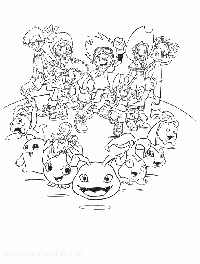 Image 22