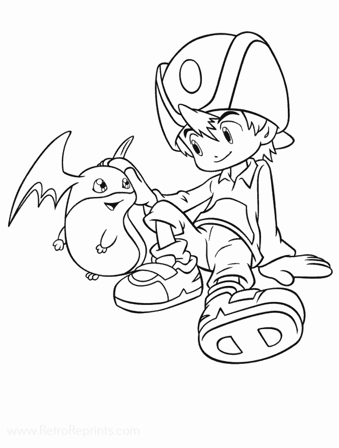 Image 23