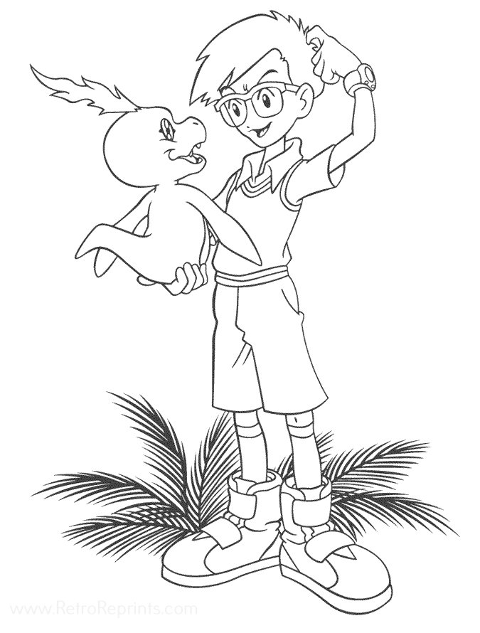 Image 33