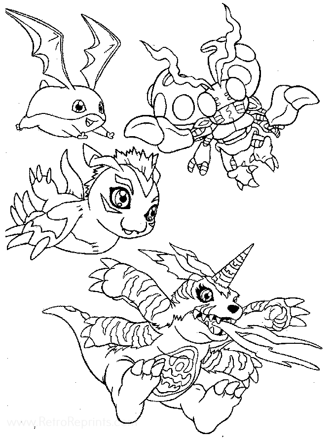 Image 43