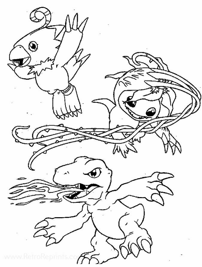Image 44