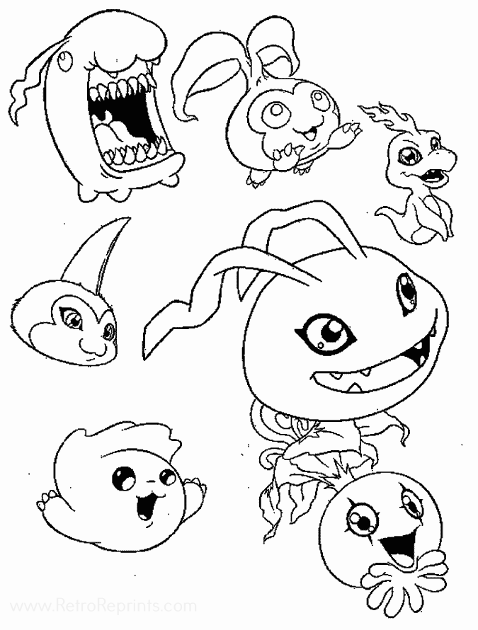 Image 45