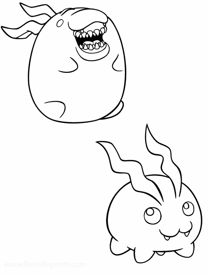 Image 47