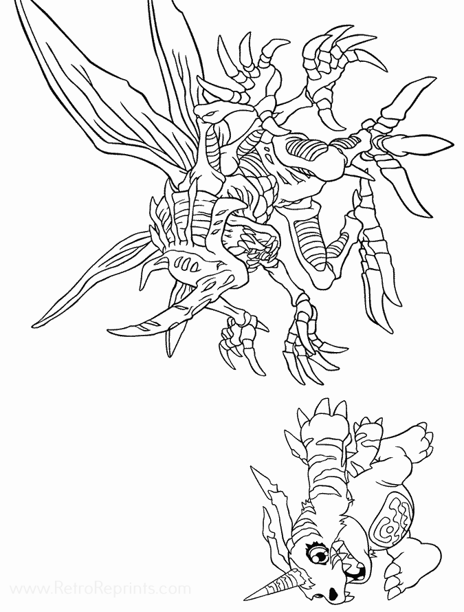 Image 49