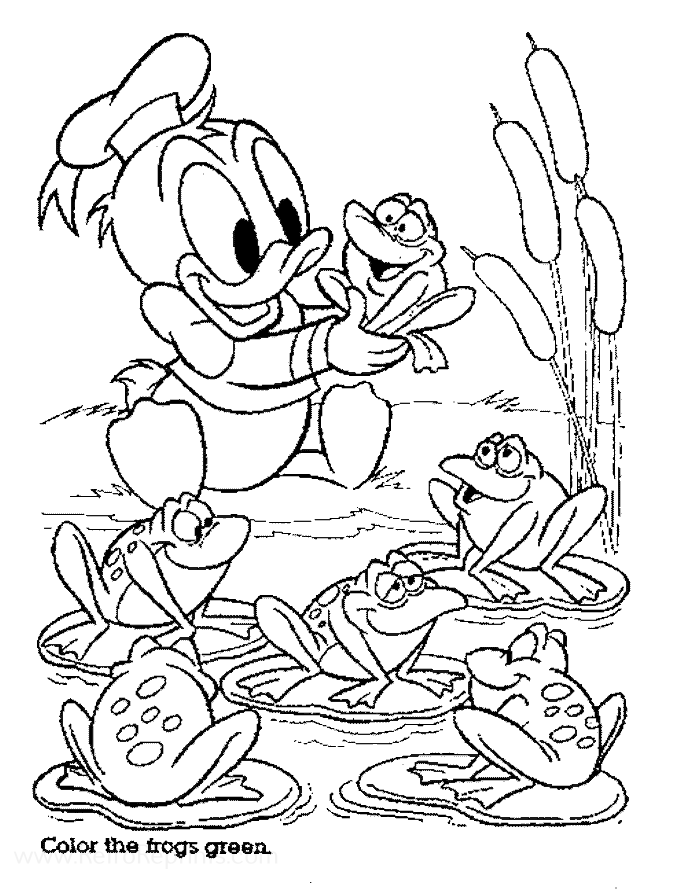 Baby Donald