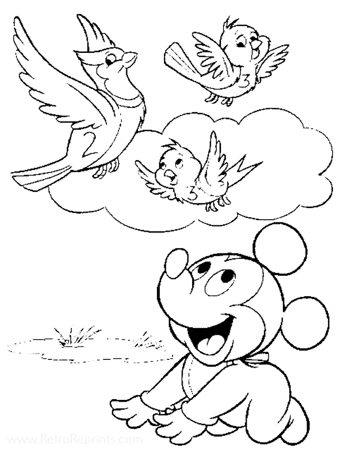 Baby Bird Watching