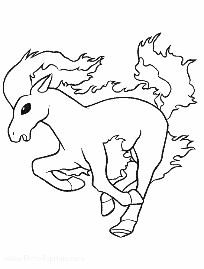 Image 06