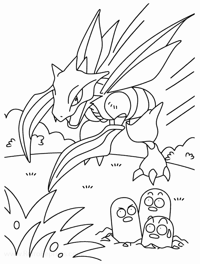 Image 13