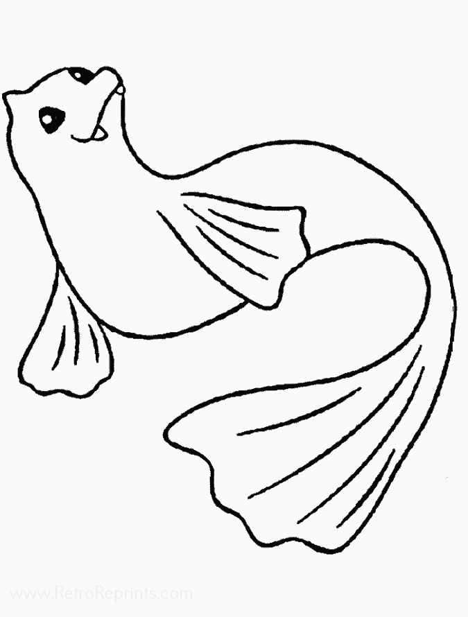 Image 27