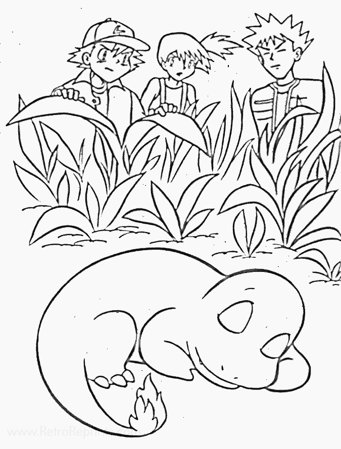 Image 29