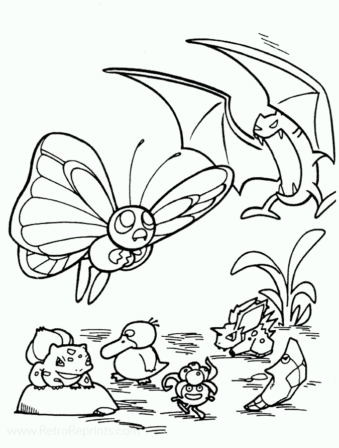Image 33