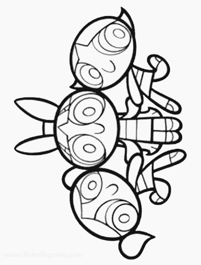 Image 17