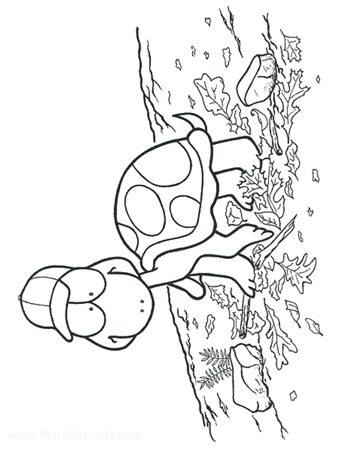 Image 07