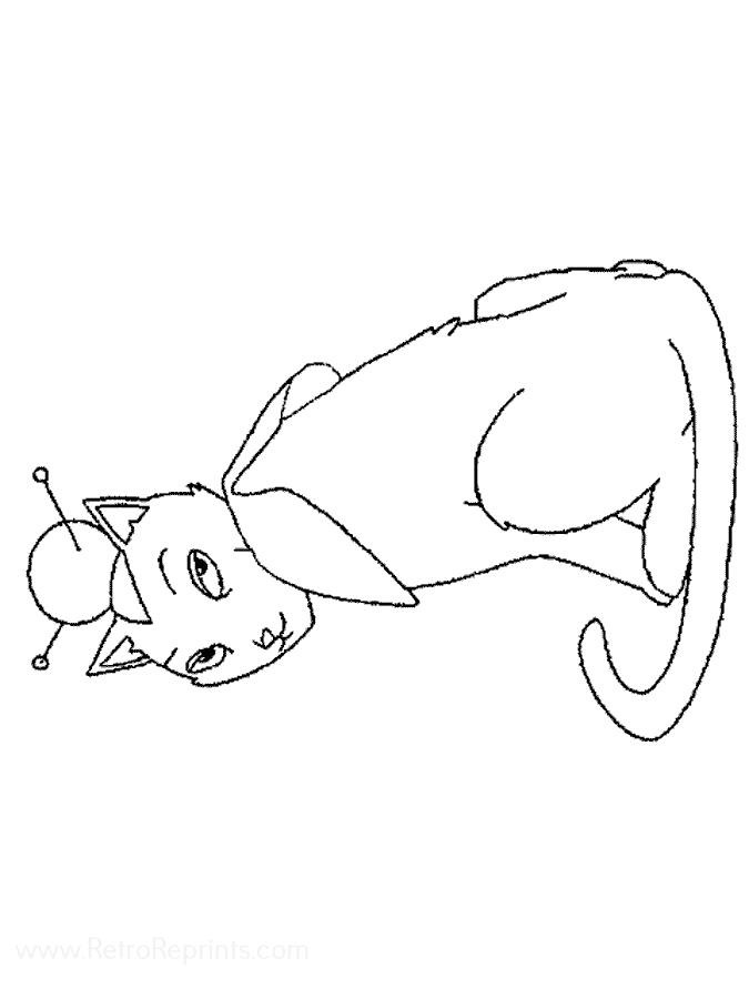 Image 04