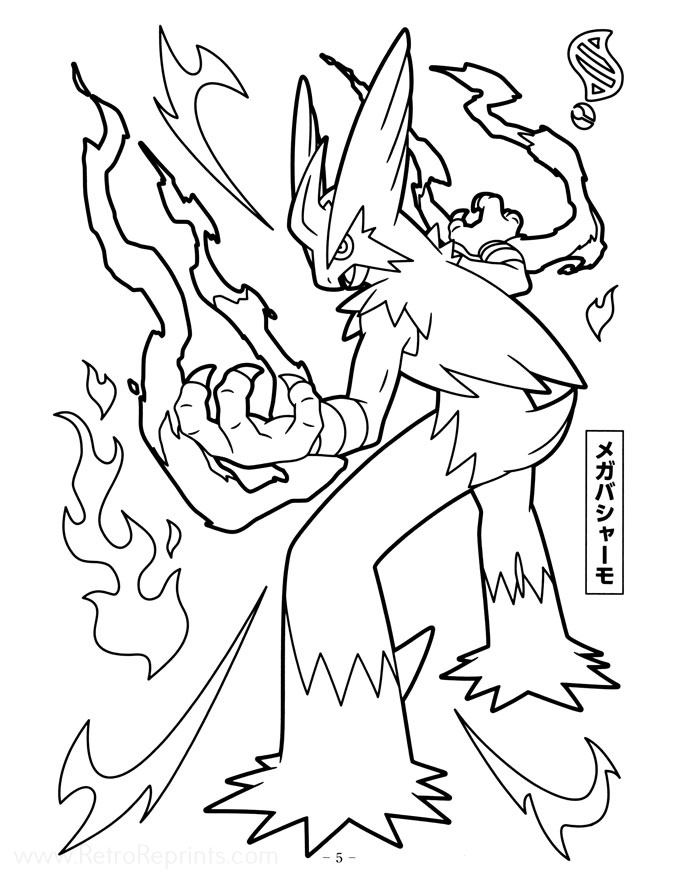 Page 05